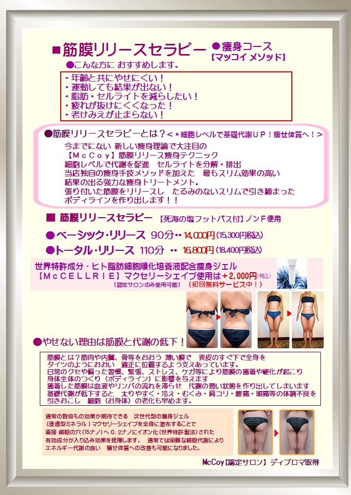 �ؖ������[�X�E�{�f�B���C�N�E�u���C�_���G�X�e