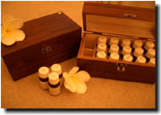 �{�f�B�P�A�T�������b�N�X